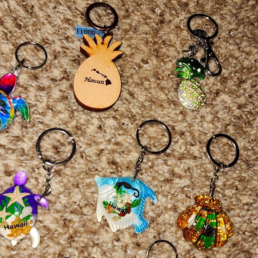 Hawaii Keychains - Picture 5 of 9
